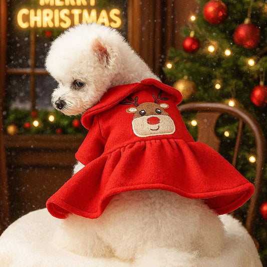 Dog Christmas Hoodie