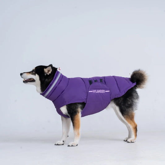 Dog Coat