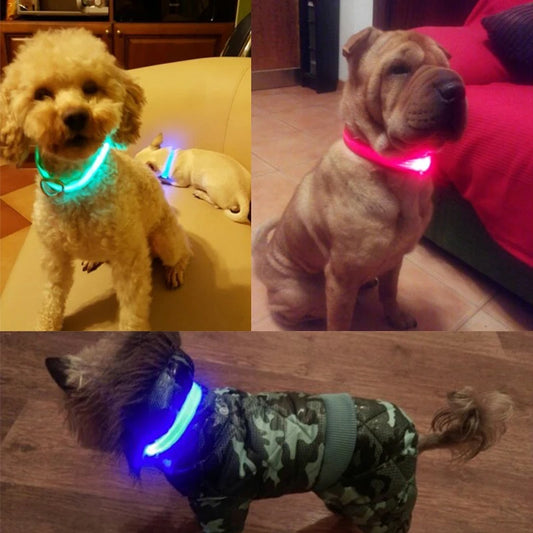 Dog LED Light Collar