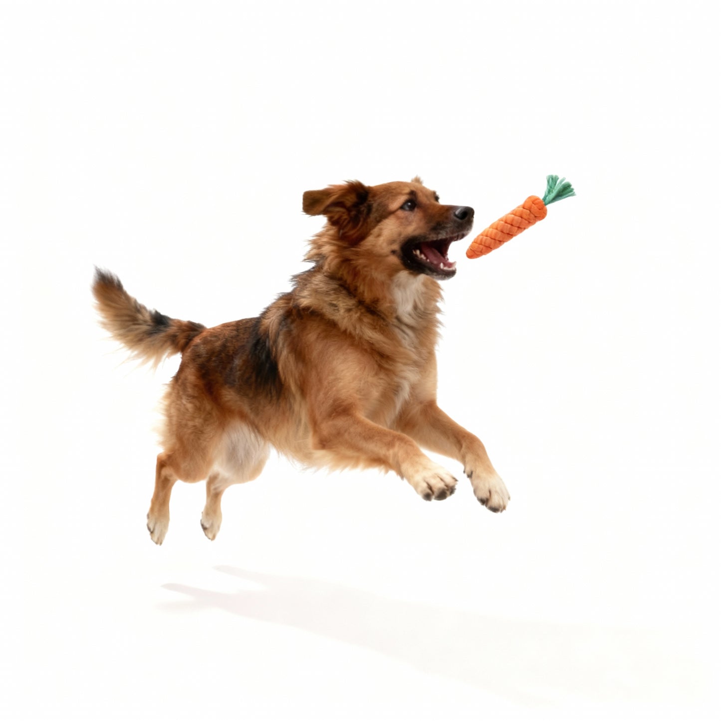 Dog Toys Bite Resistant Cotton Carrot Chew Toys