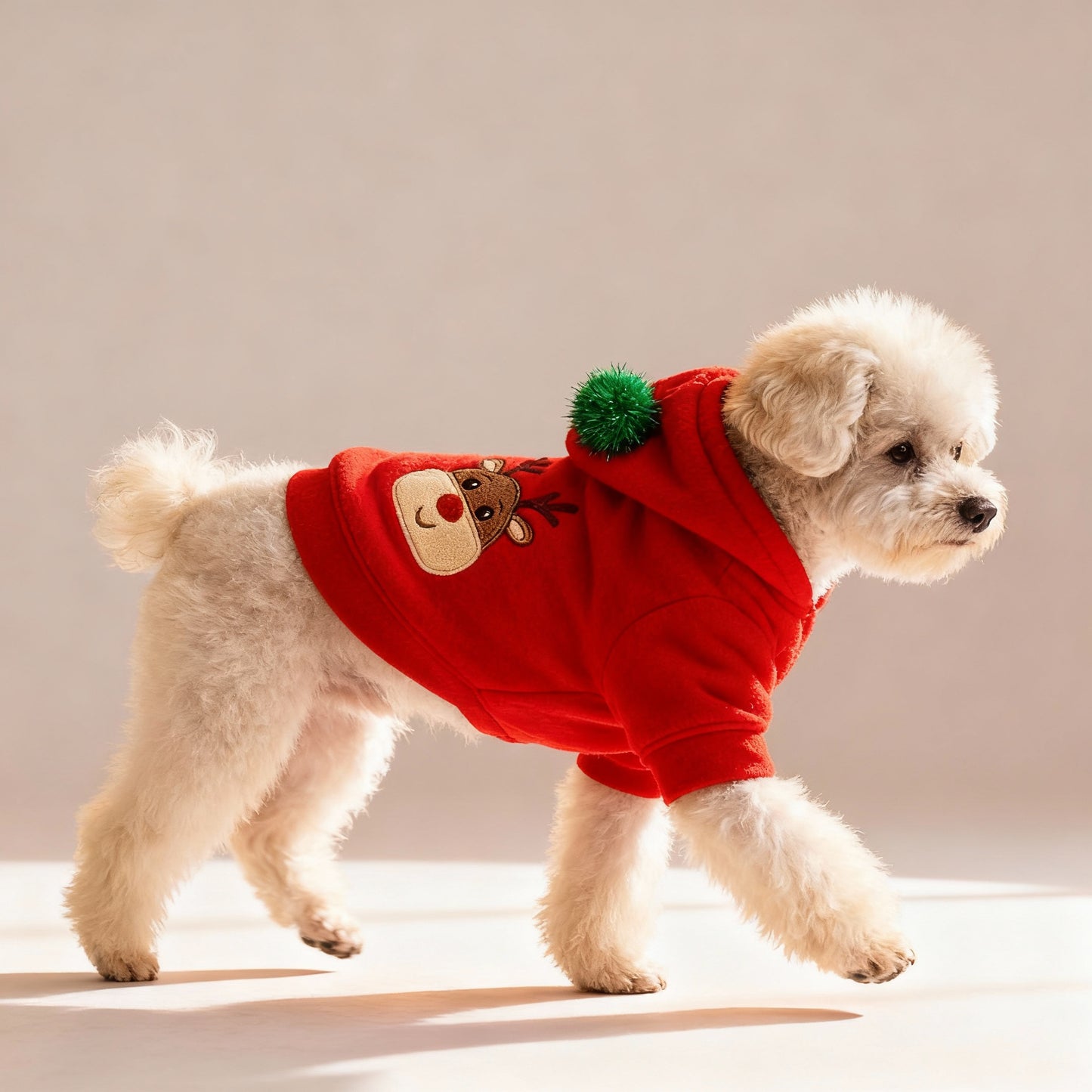 Dog Christmas Hoodie