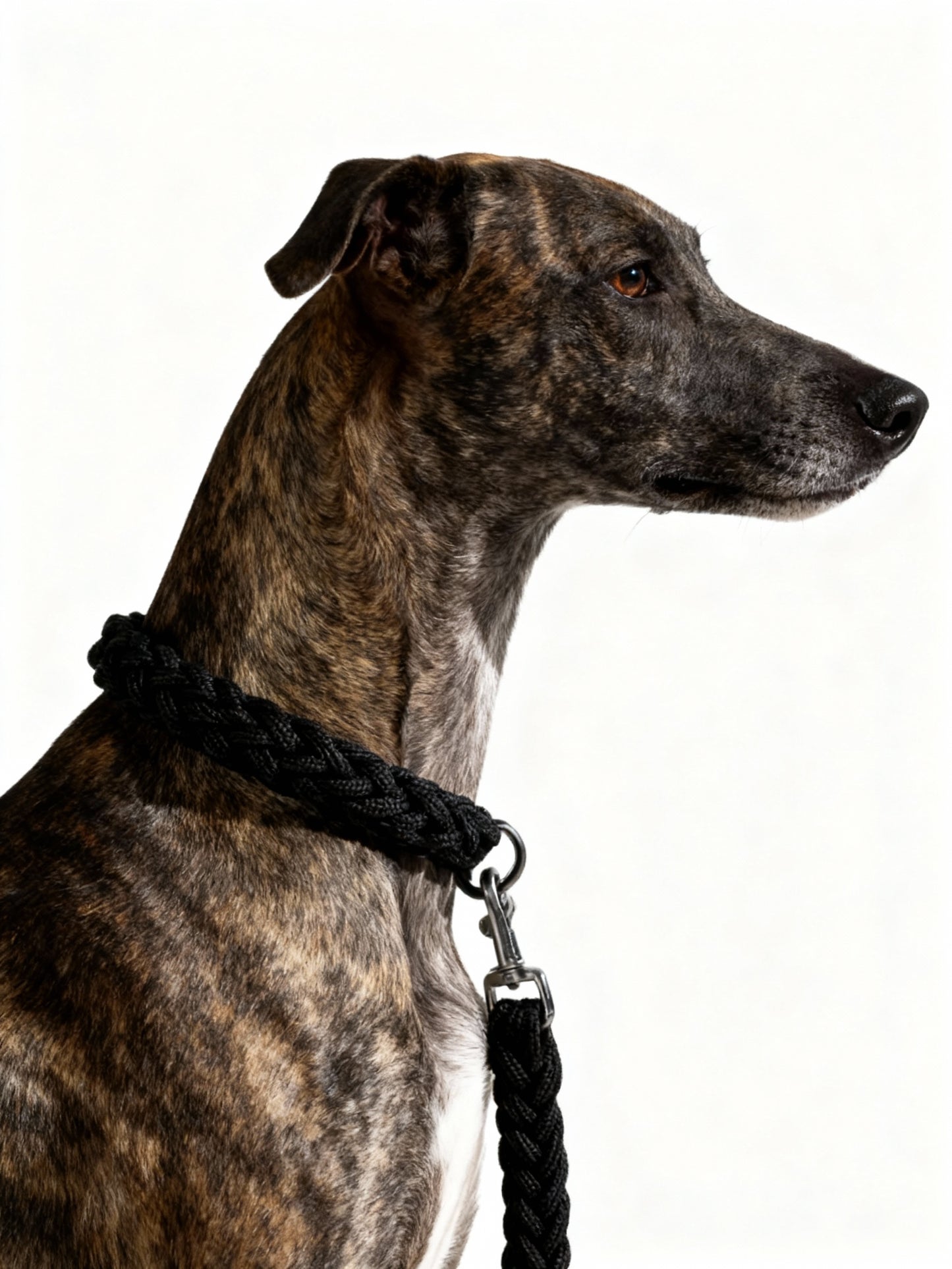 Dog leash strong and durable braid