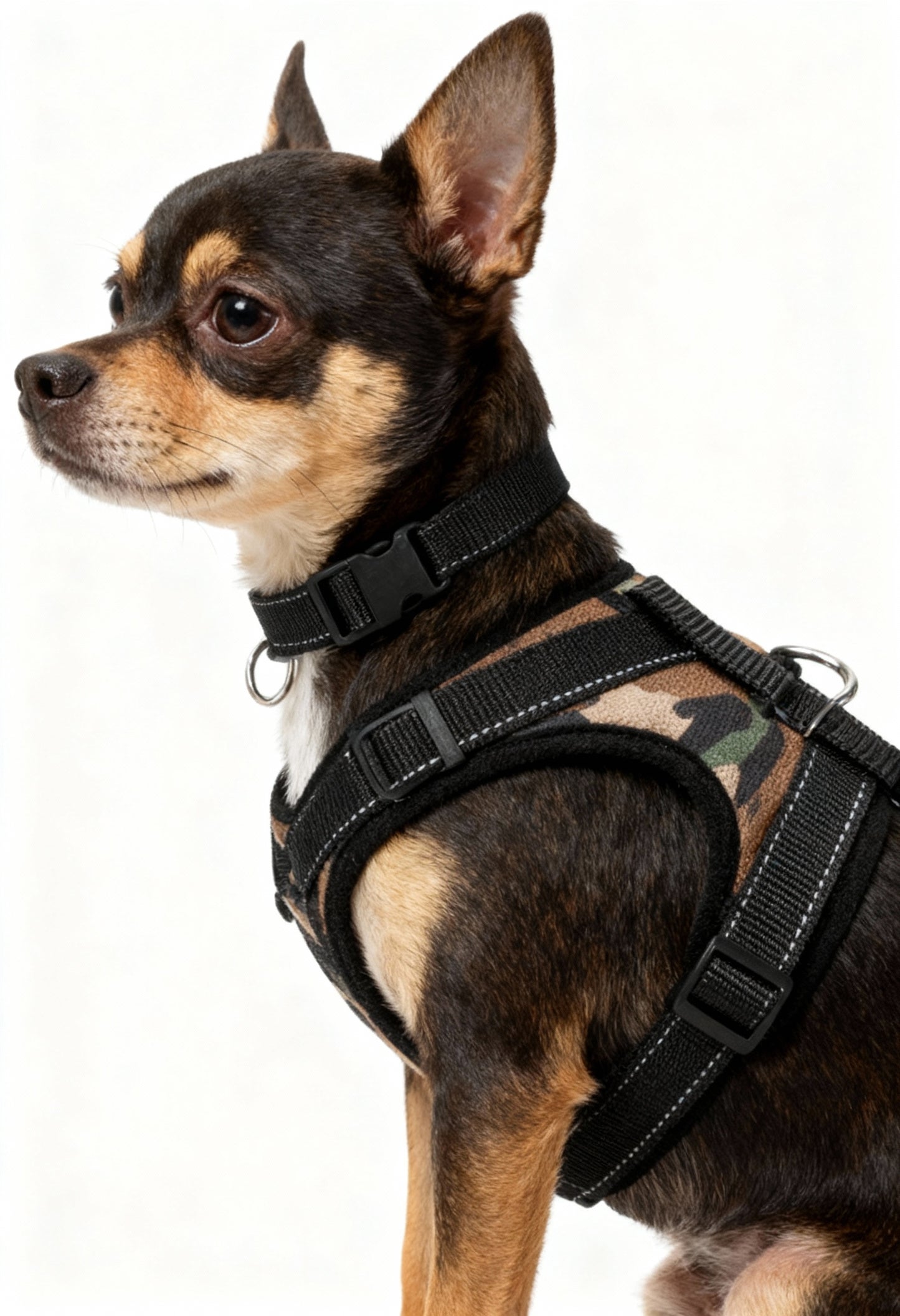 Quick Release Dog Harness