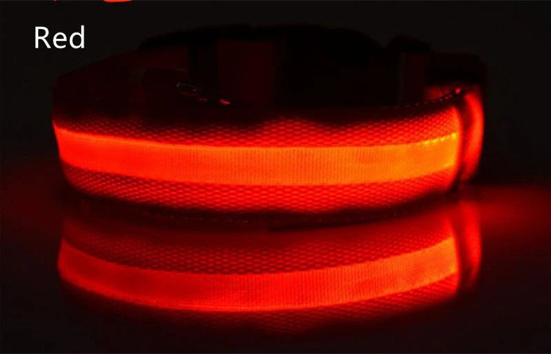 Dog LED Light Collar