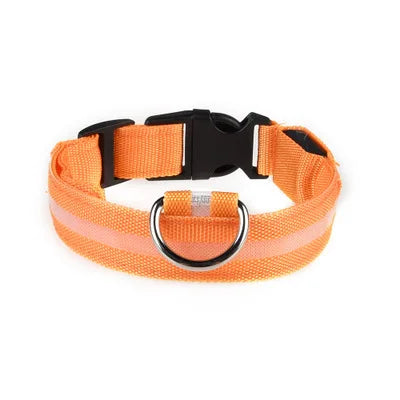 Dog LED Light Collar