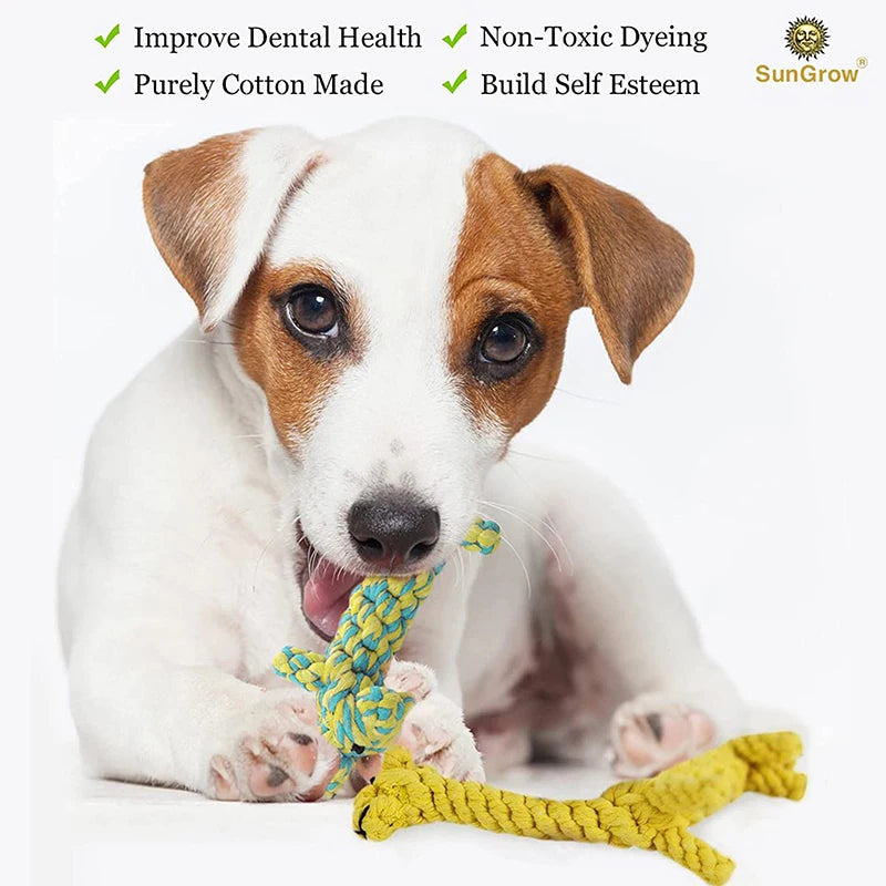 Dog Rope Toy Cartoon Animal