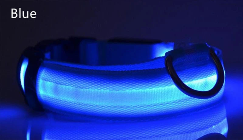 Dog LED Light Collar