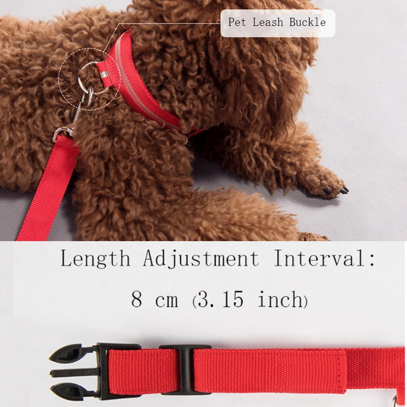 Dog LED Light Collar