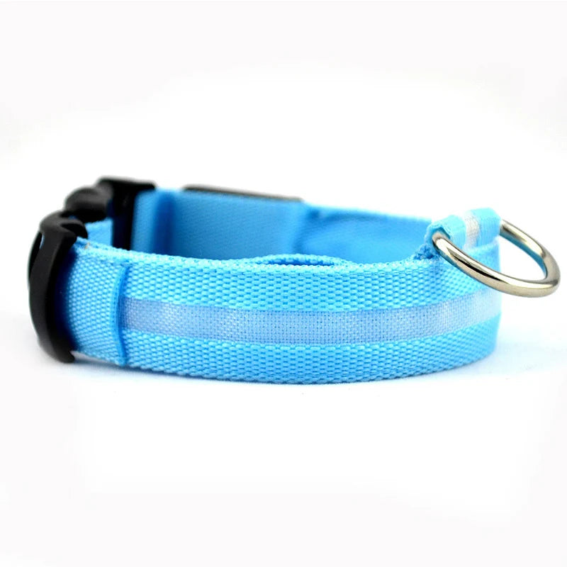 Dog LED Light Collar