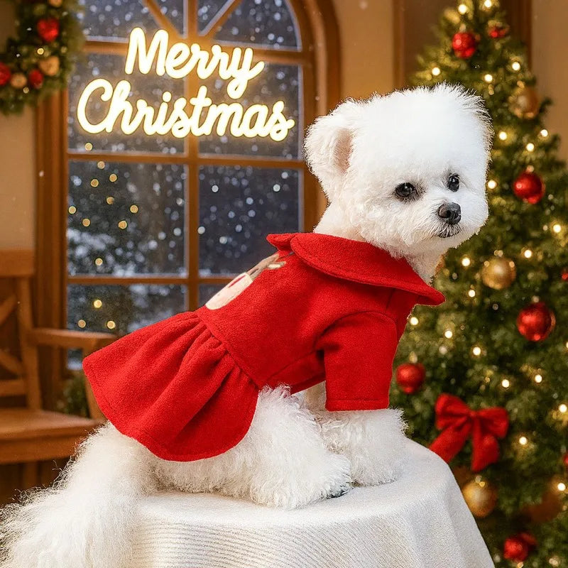 Dog Christmas Hoodie