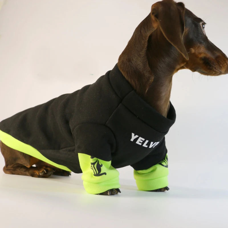 Dog Sweater
