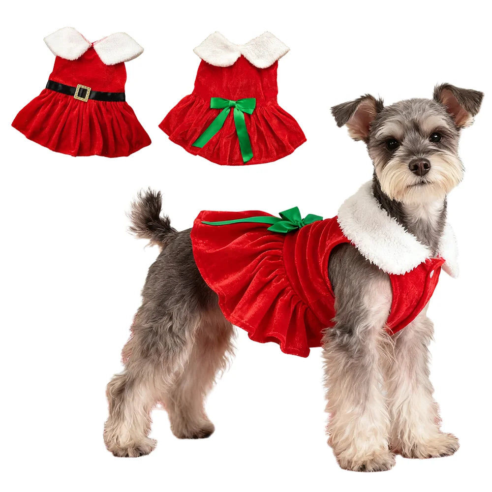 Christmas Dog Dress