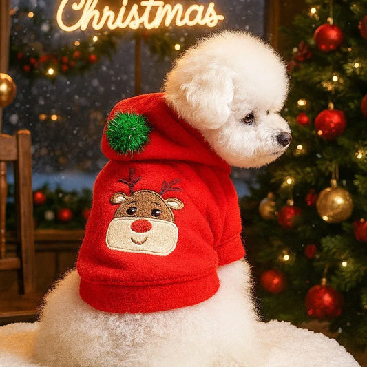 Dog Christmas Hoodie