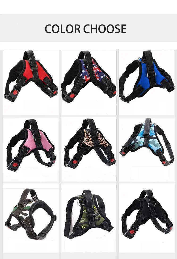 Quick Release Dog Harness