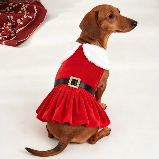 Christmas Dog Dress