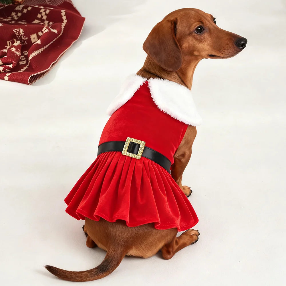 Christmas Dog Dress