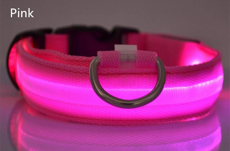 Dog LED Light Collar