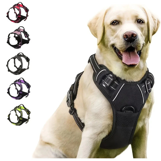 Standard Harness