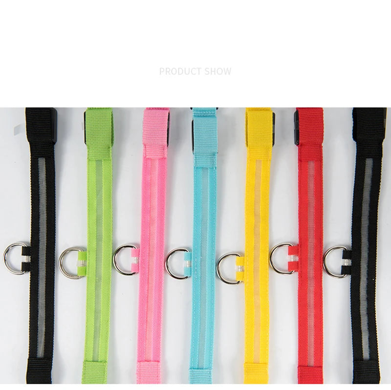 Dog LED Light Collar