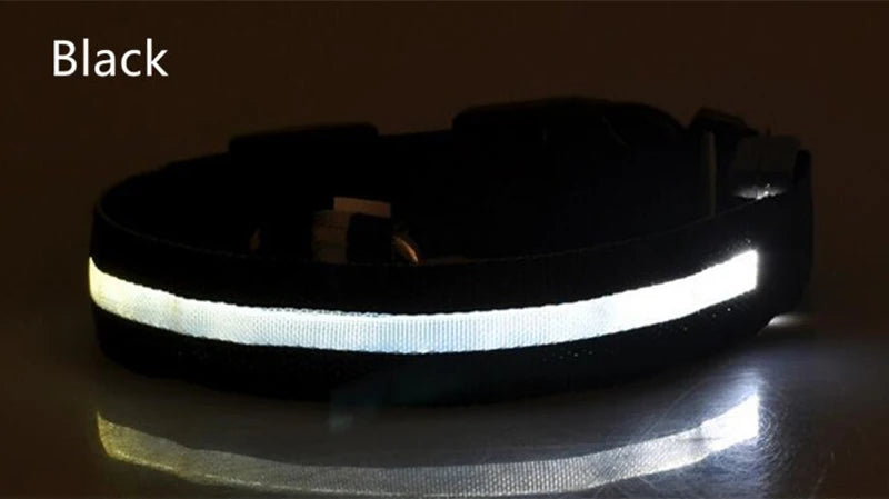 Dog LED Light Collar