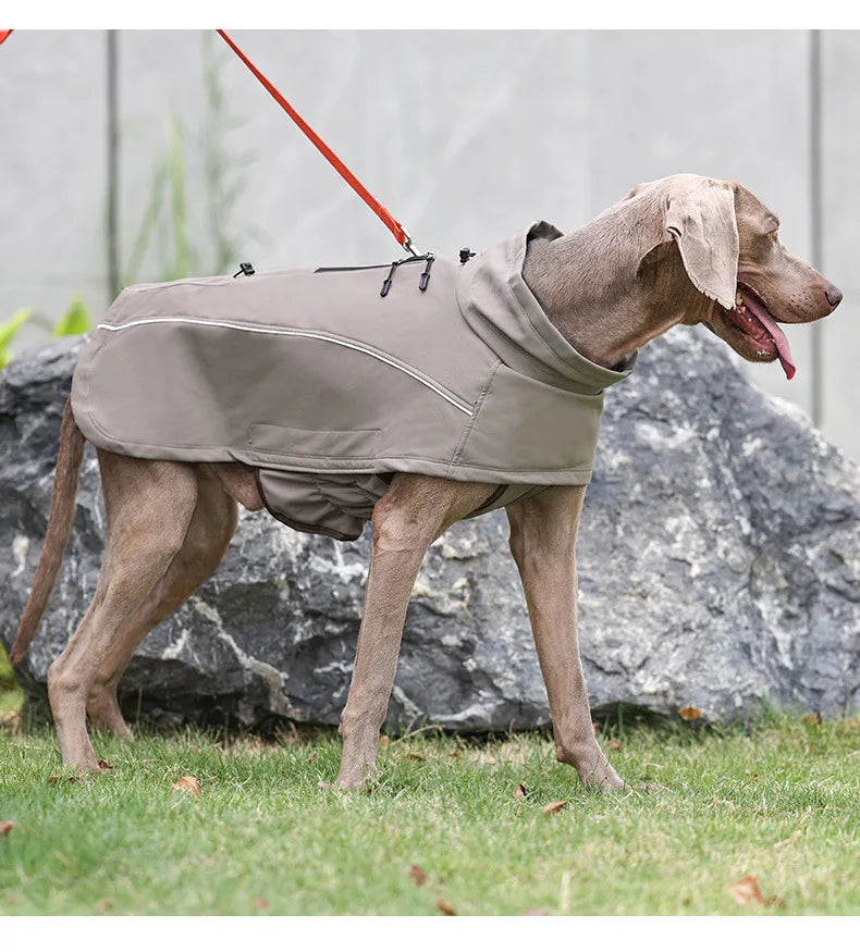 Dog Fleece