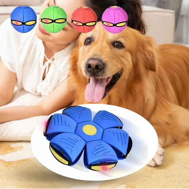 Dog Flying Toys