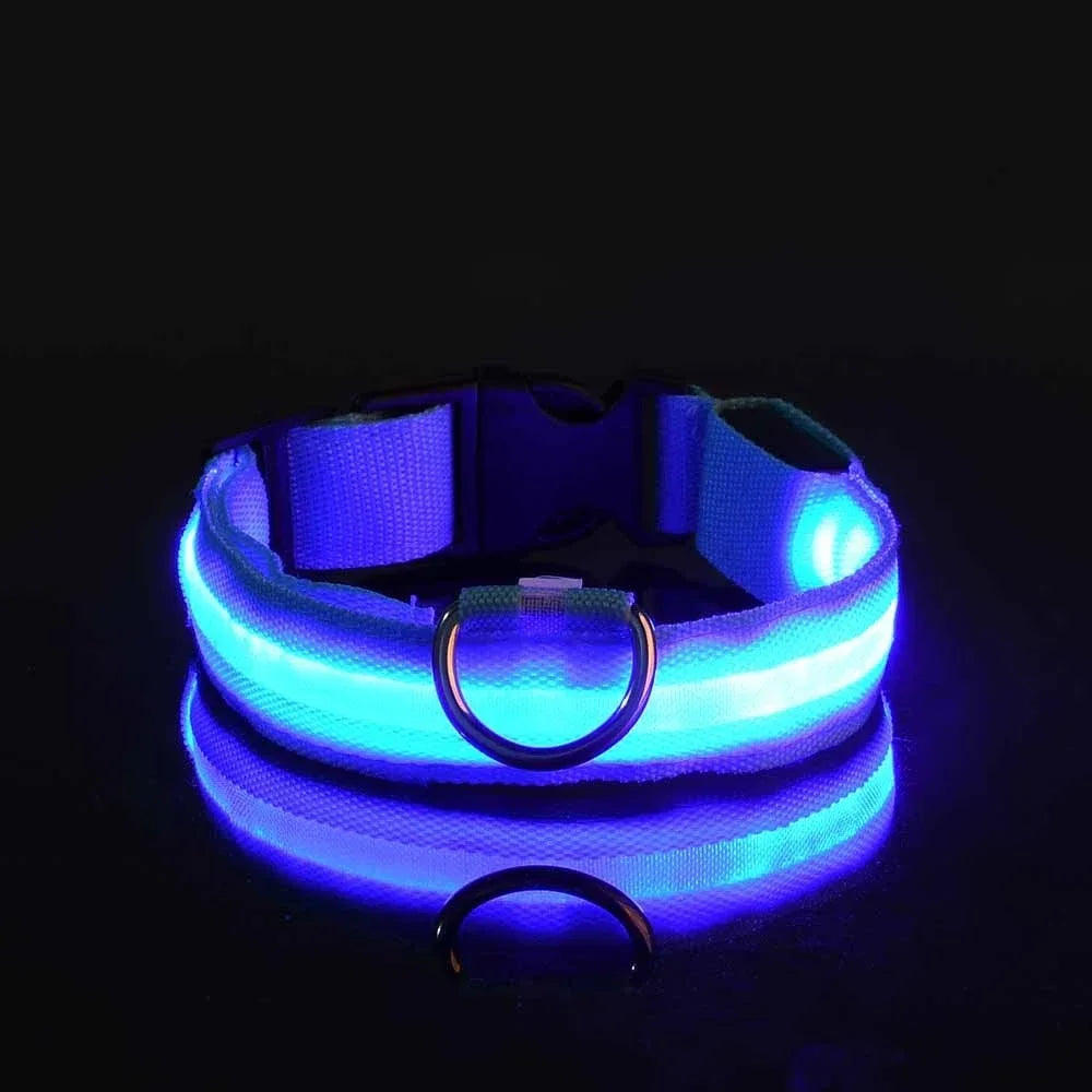 Dog Collar Nylon LED Night
