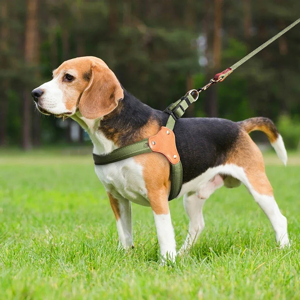 Durable Nylon Dog Harness