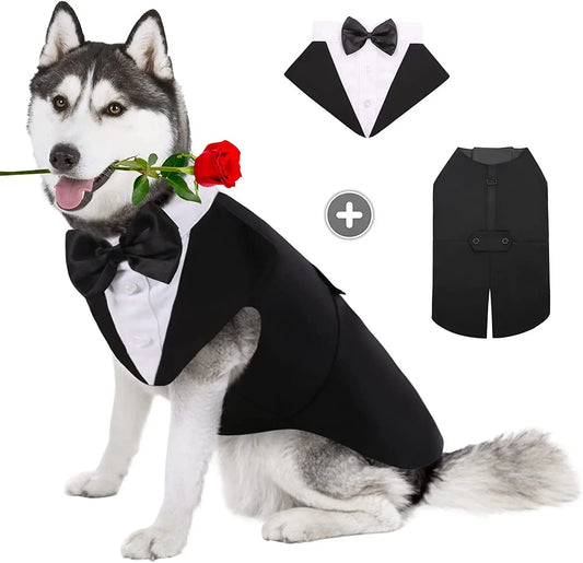 Dog Tuxedo