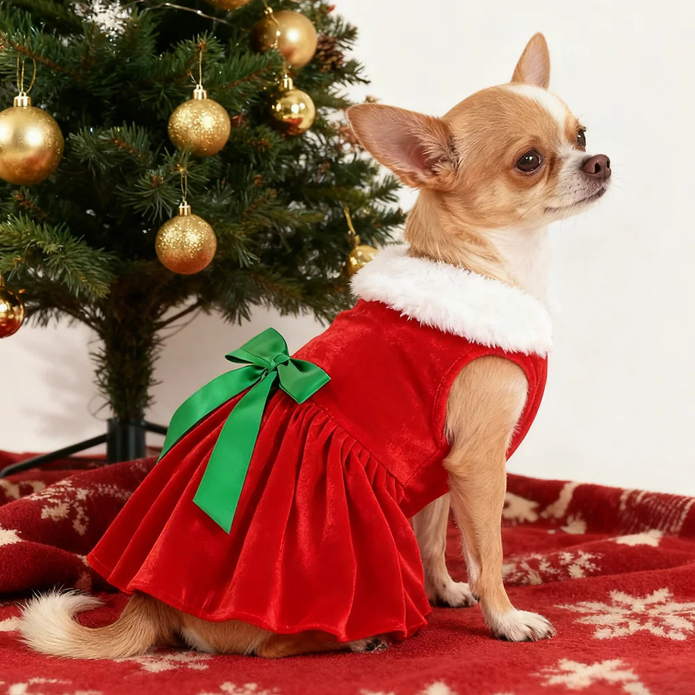 Christmas Dog Dress