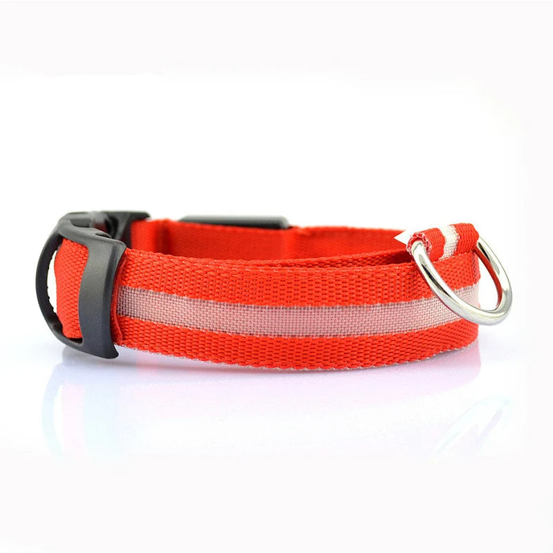 Dog LED Light Collar