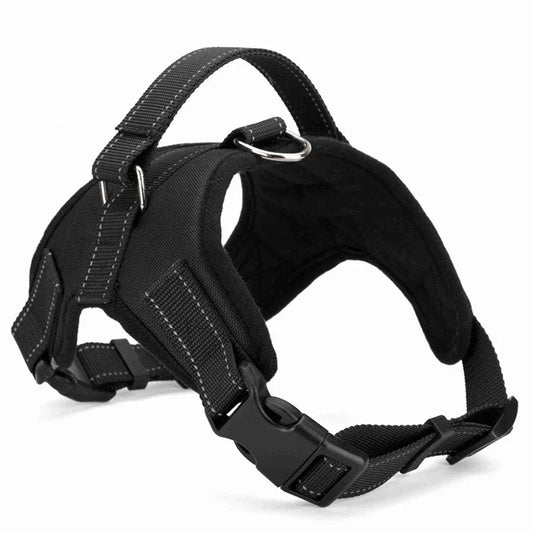 Quick Release Dog Harness