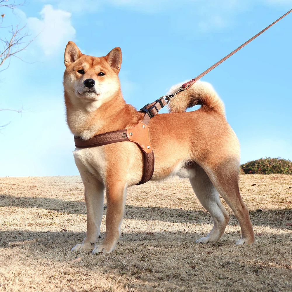 Durable Nylon Dog Harness