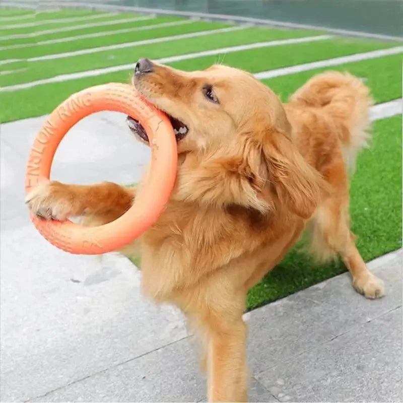 Ring Toy