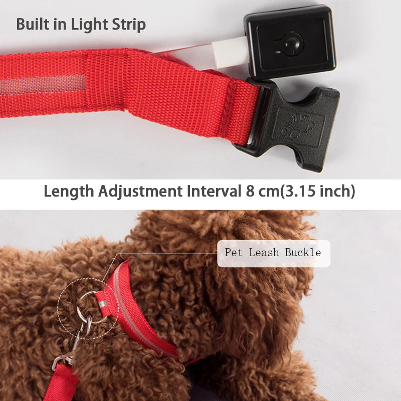 Dog LED Light Collar