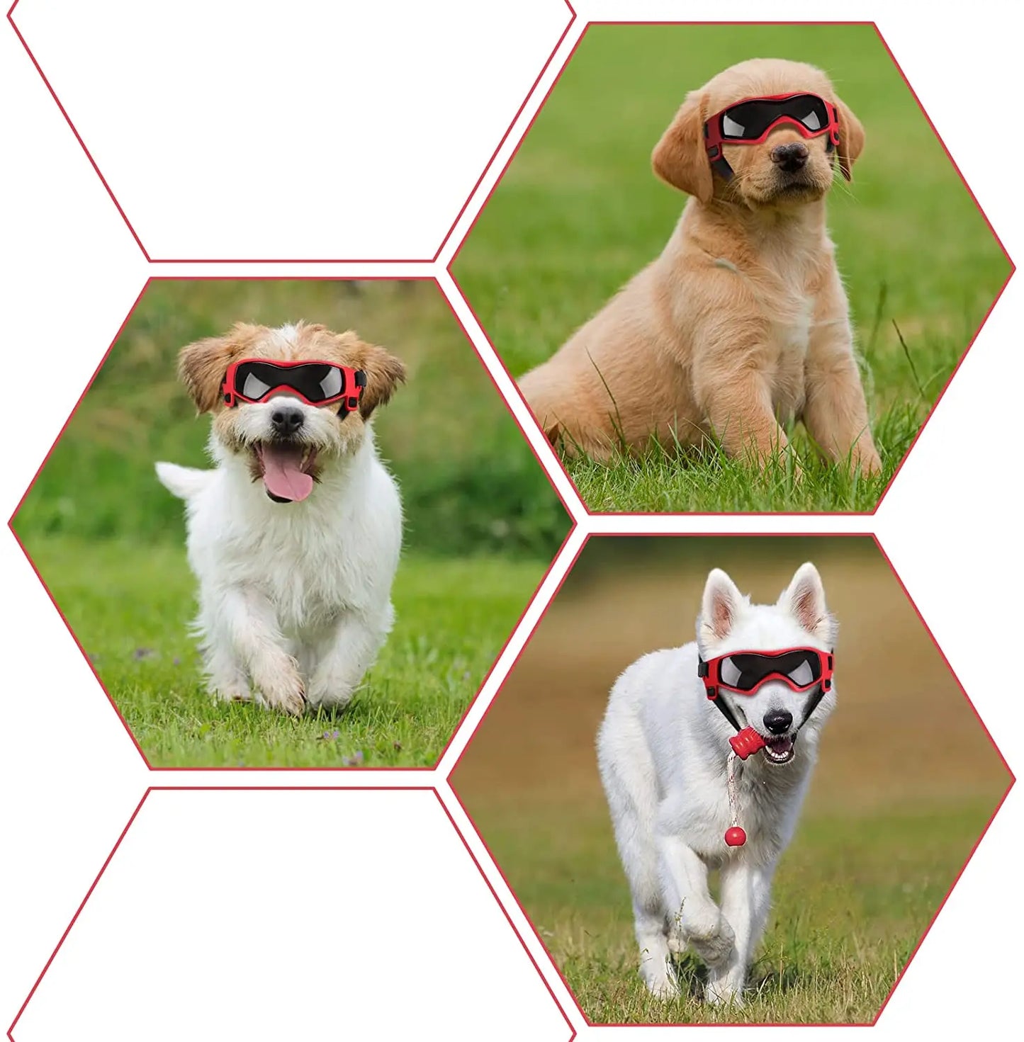 Dog UV Protection Sunglasses