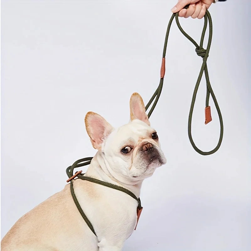 Dog Integrated Leash, Adjustable Harness Type, Pet Leash