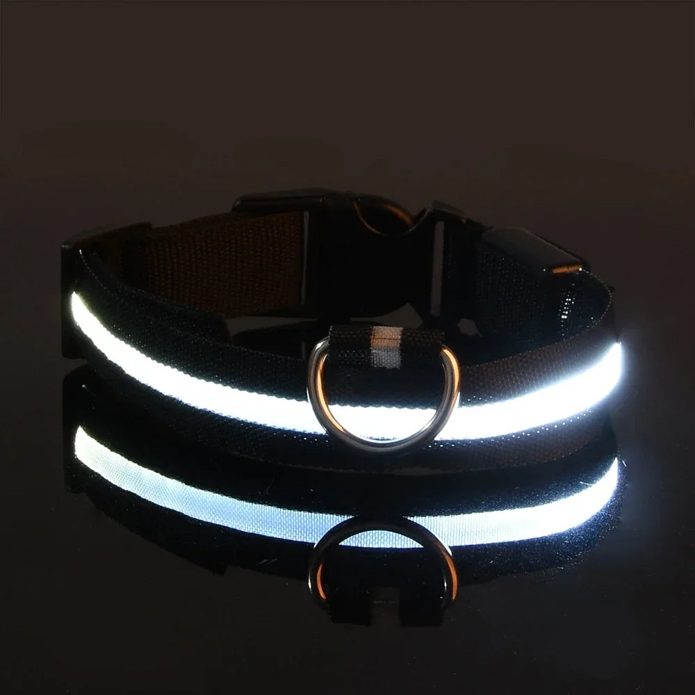 Dog Collar Nylon LED Night