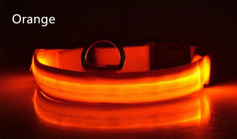 Dog LED Light Collar