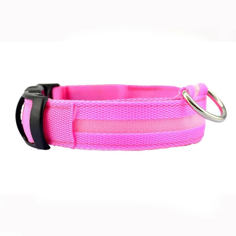 Dog LED Light Collar
