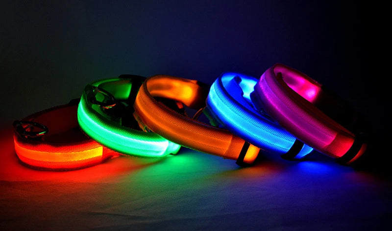 Dog LED Light Collar