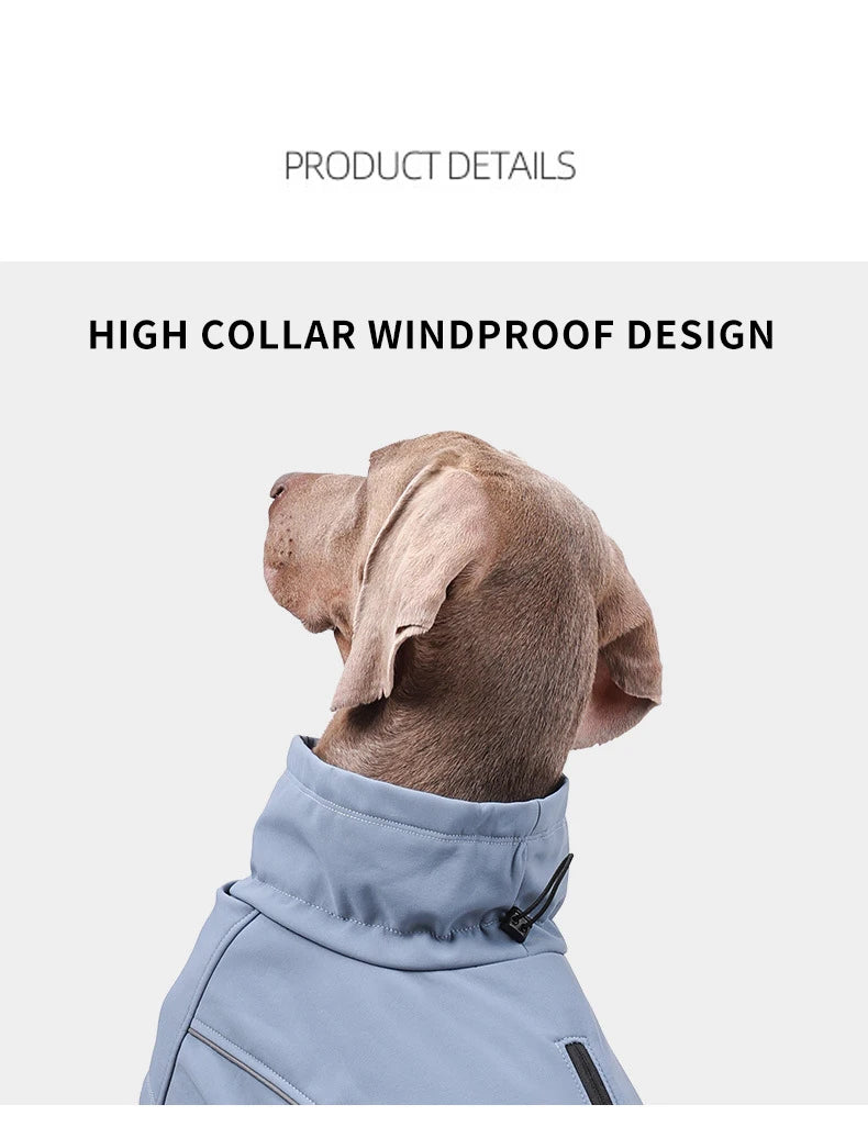 Dog Fleece