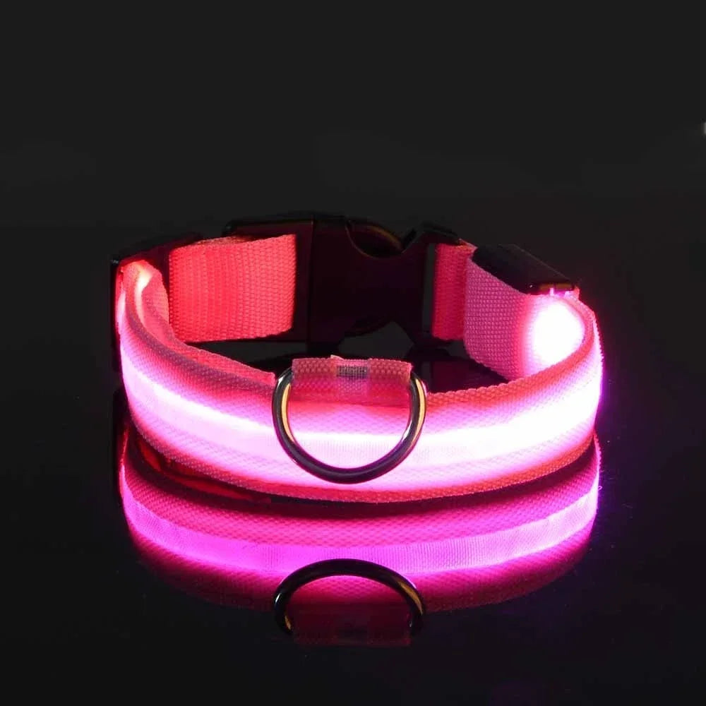 Dog Collar Nylon LED Night