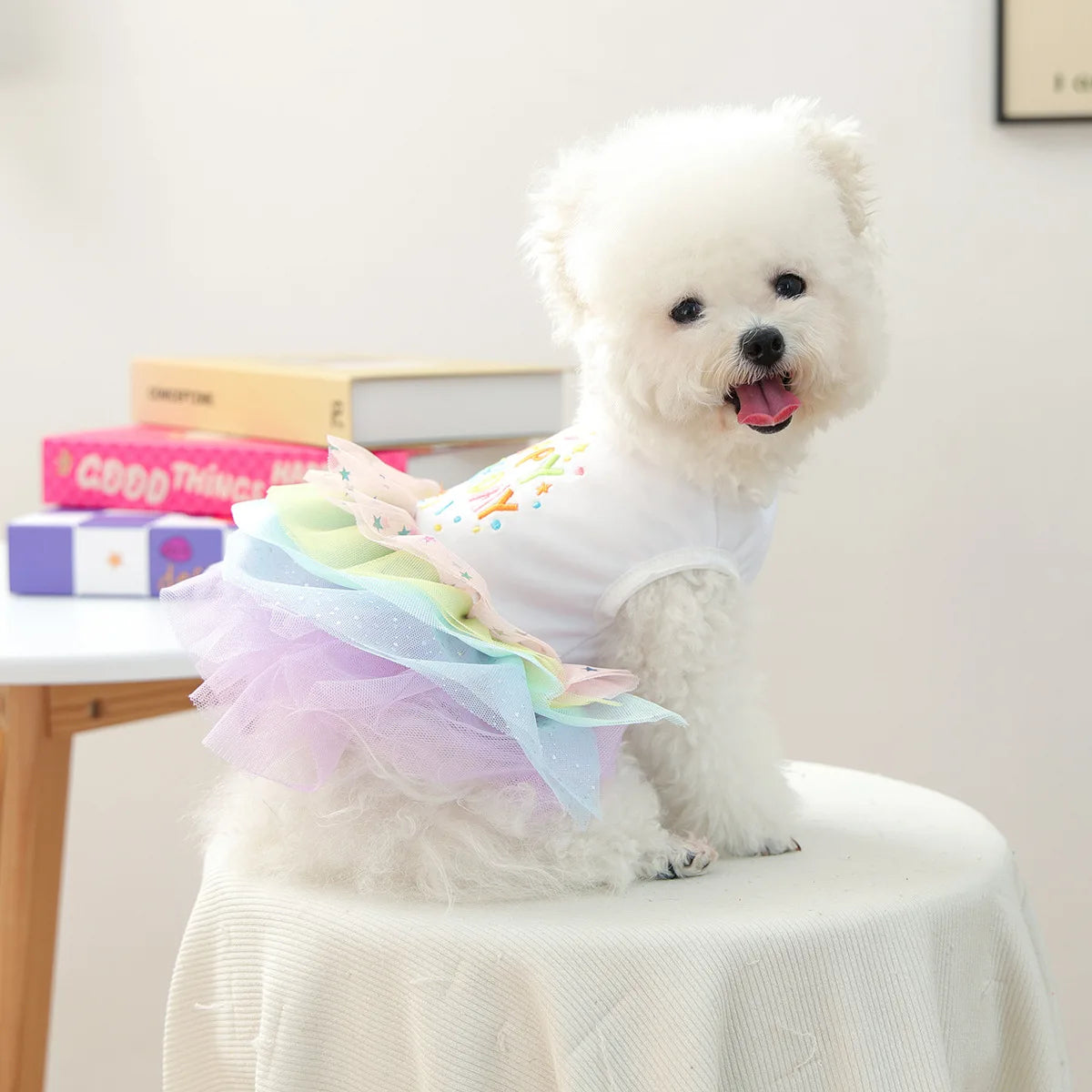 Birthday Suit For Dog