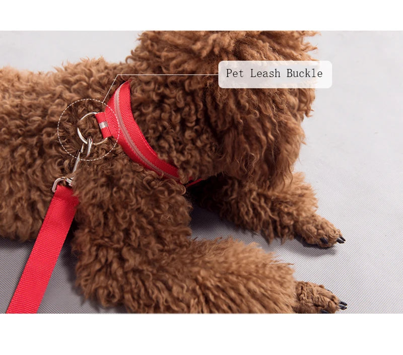 Dog LED Light Collar