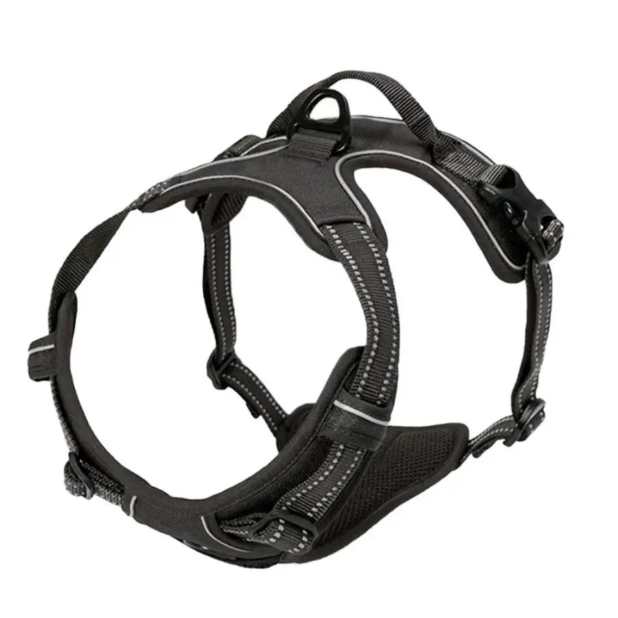 Standard Harness