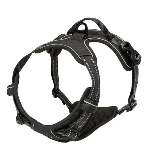 Standard Harness