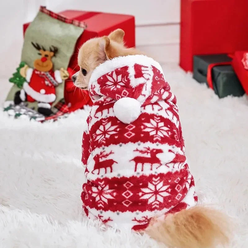 Dog Winter Hoodie