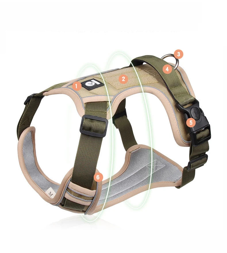 Reflective Harness