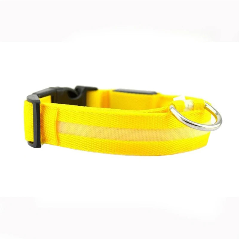 Dog LED Light Collar